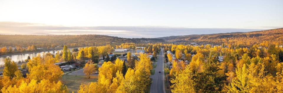 Fall colours of Quesnel, BC
