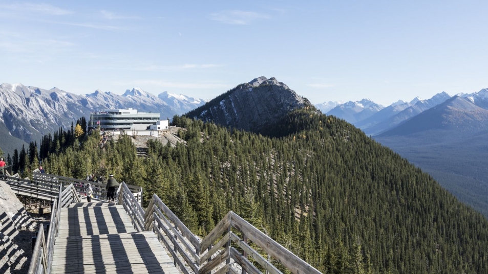 Elevated boardwalk winding through a dense forest with expansive mountain views