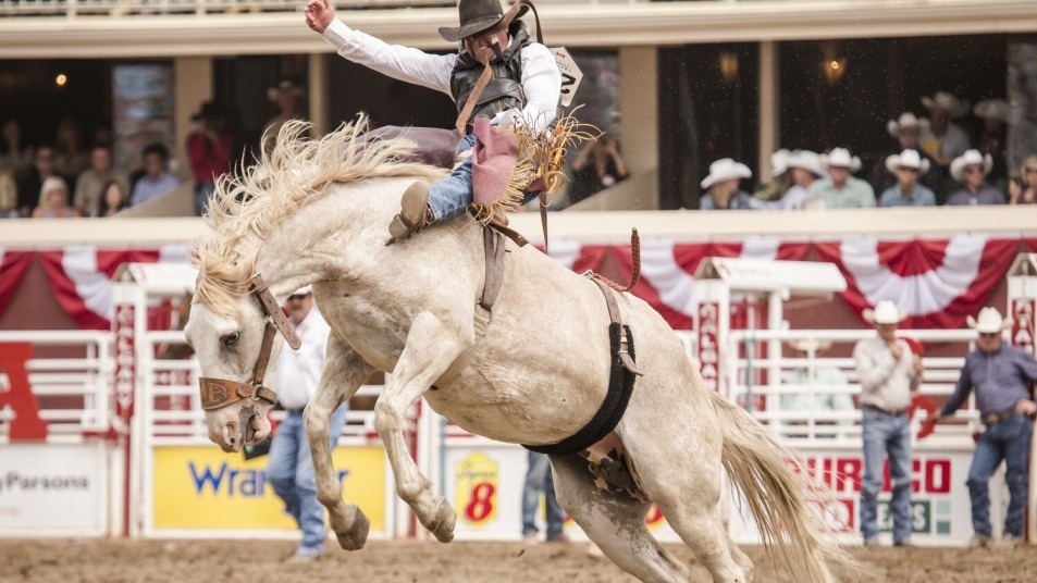 Rodeo at Calgary Stampede