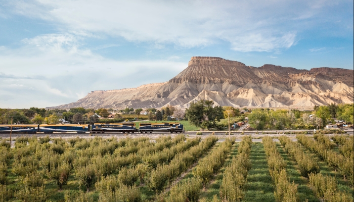 Rocky Mountaineer train travelling in front of Mount Garfield, Colorado