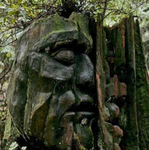 Stanley Park’s guerrilla artwork, Two Spirits.