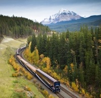 Train surrounded by greenery and a mountain background.