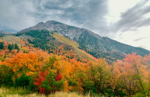 Mount Olympus Way during the fall in Salt Lake City,